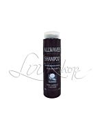 Shampoo PLUS LIFE COLOR per Capelli CASTANI - ALLWAVES - 250ml