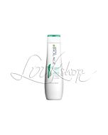 Shampoo Anti-Dandruff SCALPSYNC - Antiforfora - Biolage MATRIX - 250ml